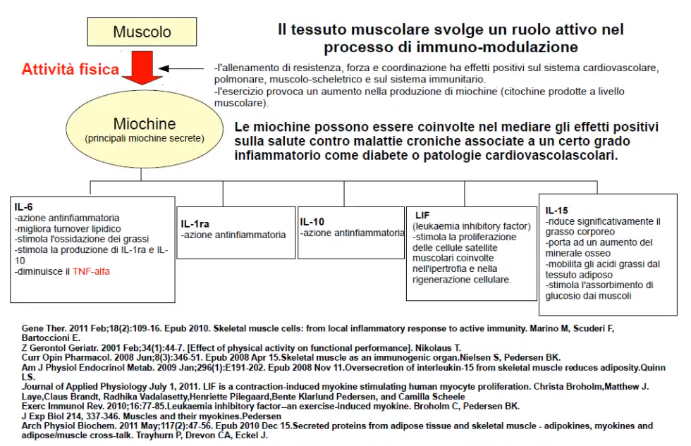 pierpaoloricciotti-allenamentoalternato-muscoloscheletrico